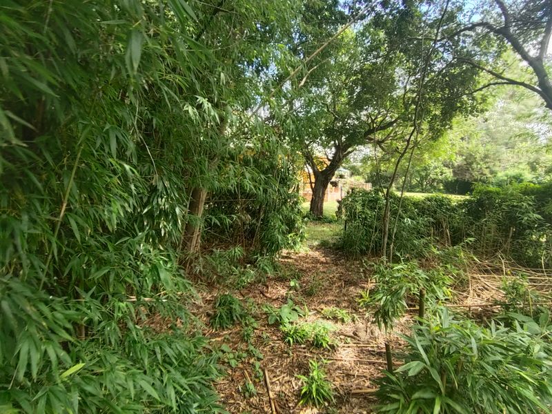 Lifestyle gem near town - Photo 9