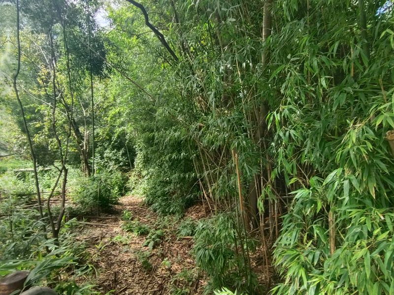 Lifestyle gem near town - Photo 7