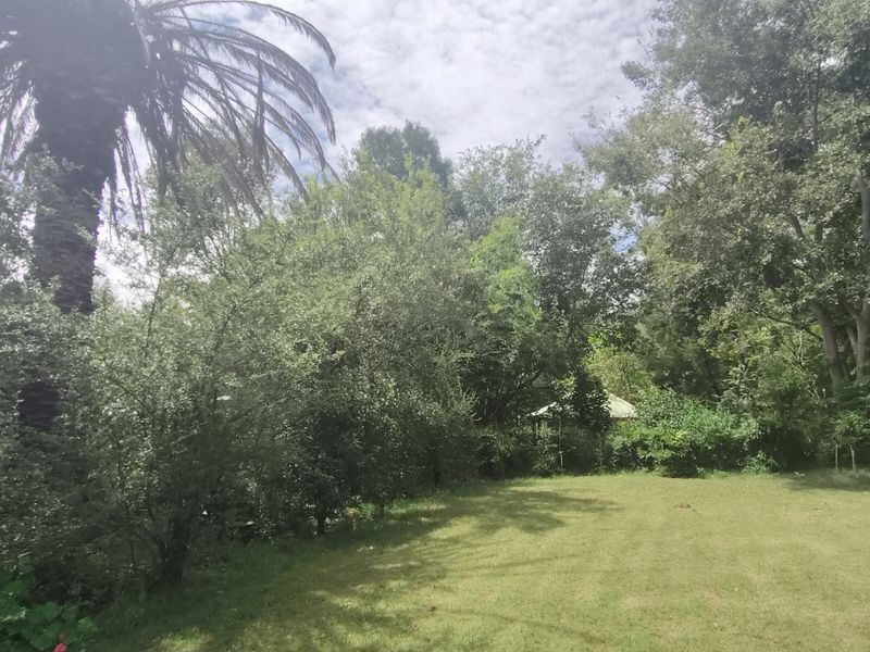 Lifestyle gem near town - Photo 6