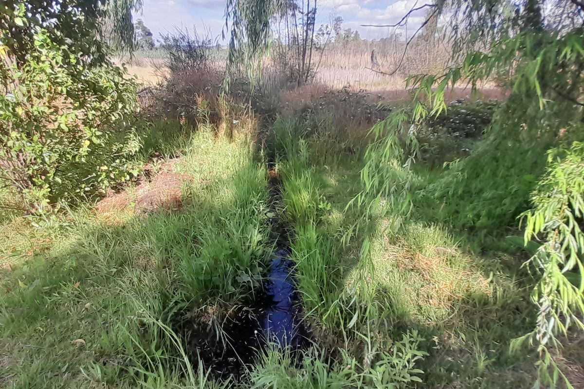 Lifestyle gem near town - Photo 2