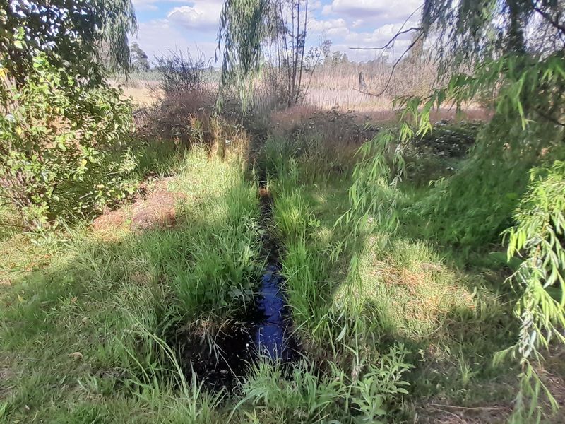 Lifestyle gem near town - Photo 2