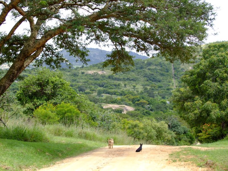 A Characteristic Country Lifestyle, Serenity with So Much Potential for Operating Functions/Air B&B - Photo 6