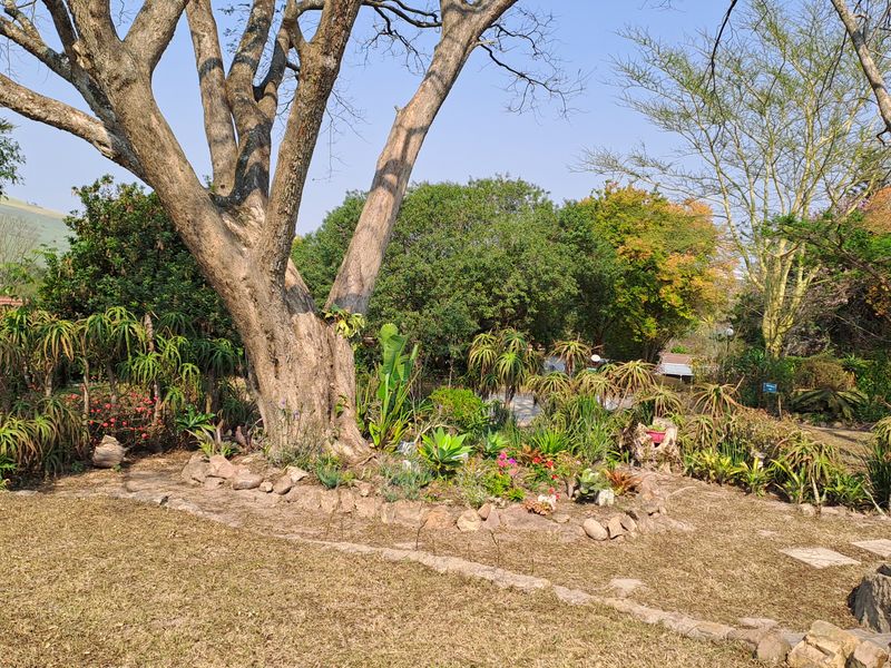 IMMACULATE UNIT FOR SALE - DONT MISS THIS BEAUTY - Photo 6