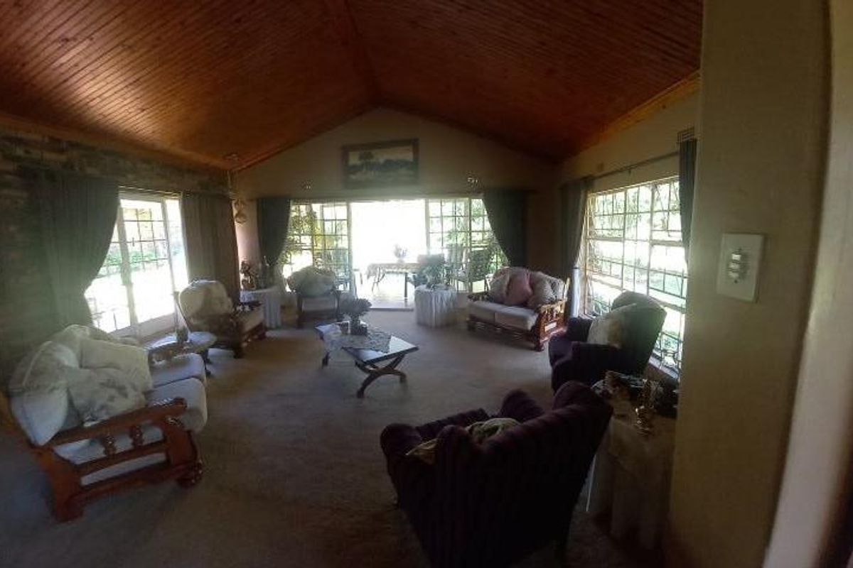 Spacious living room featuring a high vaulted timber-clad ceiling, large windows, and direct access to an outdoor patio area.