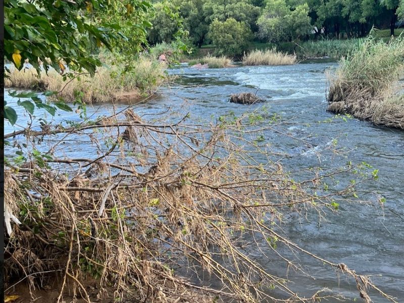 50.6ha Farm for Sale in Zoutpansdrift, AH - Photo 6