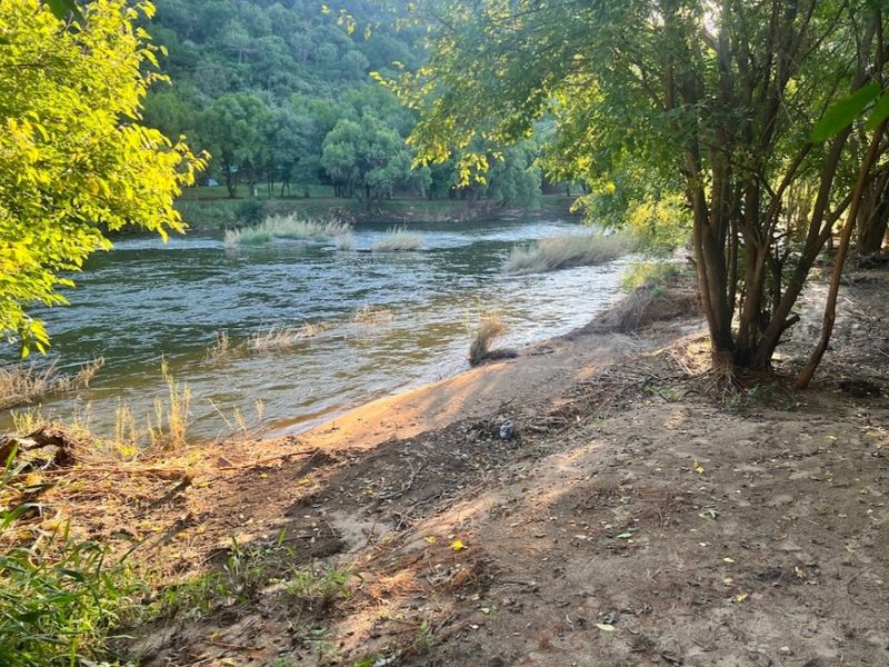 50.6ha Farm for Sale in Zoutpansdrift, AH - Photo 5