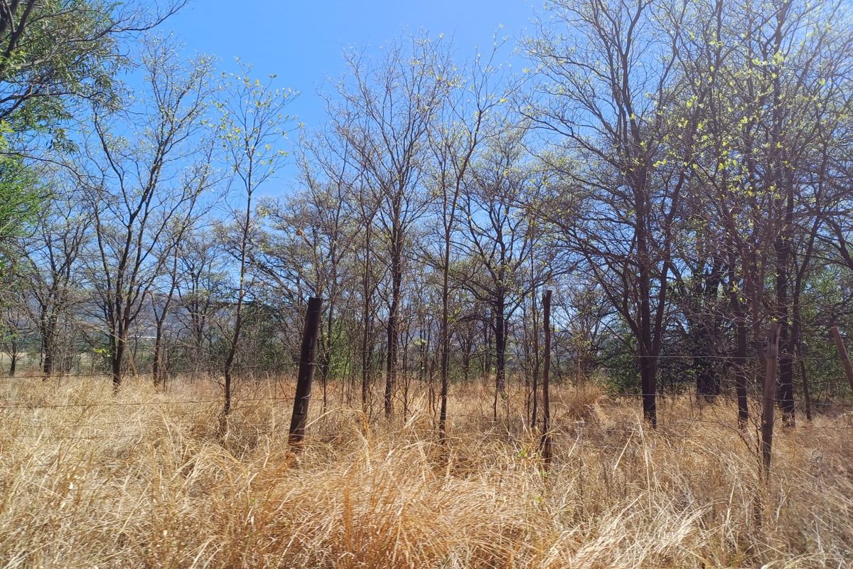 97 Hectare Farm for sale - Photo 5