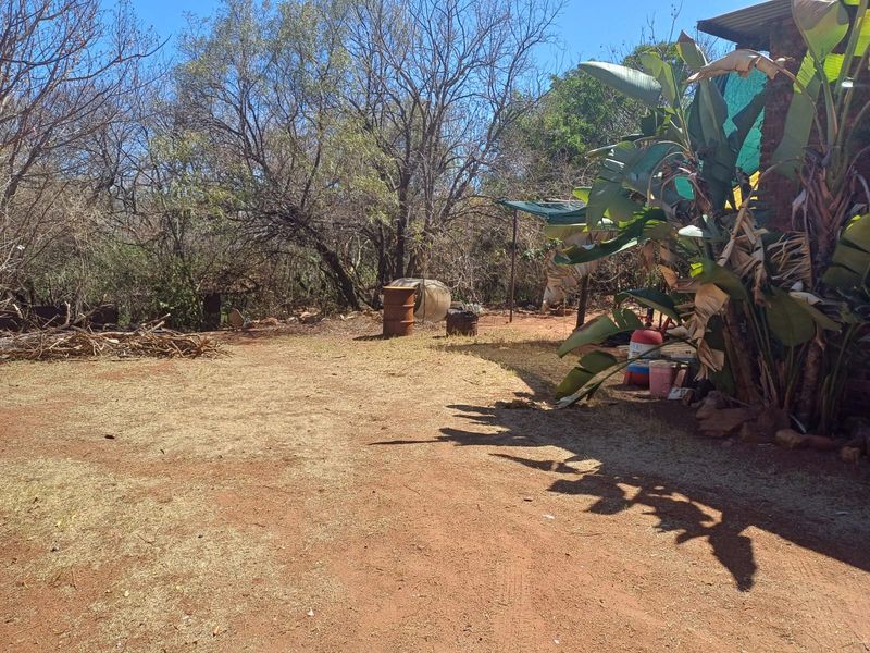 A view of the rear exterior area of the farm property featuring natural earthen ground and mature trees.