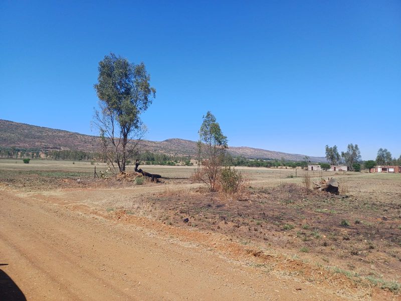 A wide-angle view of the farm landscape featuring open fields, native trees, and distant hills under a clear blue sky.