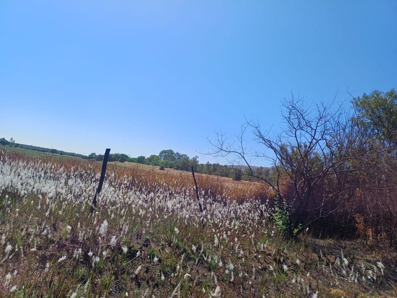 A scenic view of the open farm landscape featuring natural vegetation and perimeter fencing under a clear blue sky.