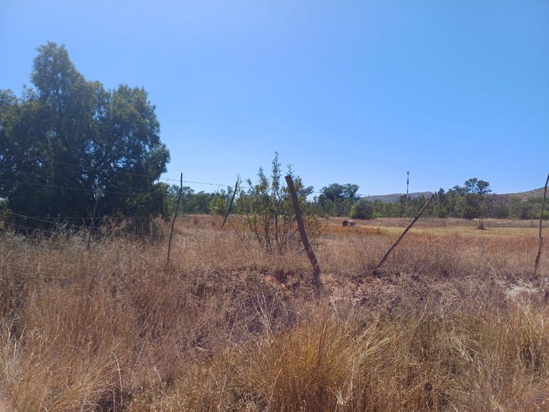 A view of the open farm landscape featuring dry grass, mature trees, and damaged wire fencing with leaning wooden posts.