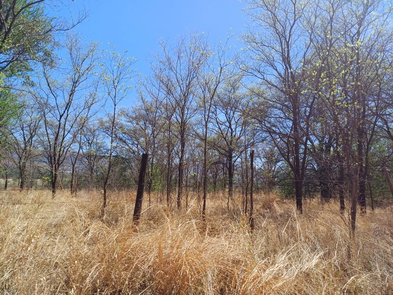 A view of the farm landscape featuring natural vegetation, mature trees, and wire perimeter fencing under a clear blue sky.