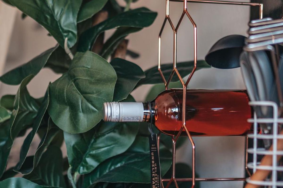 Apartment to Let - Photo 3