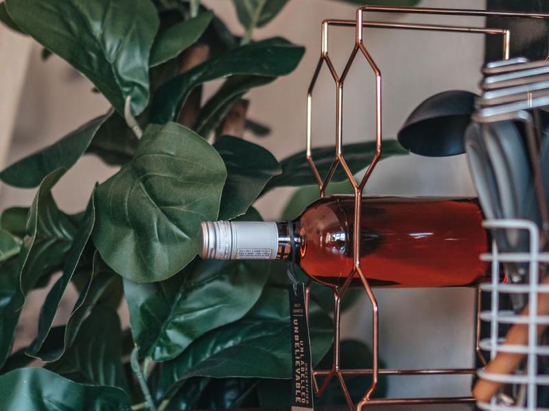 Apartment to Let - Photo 3