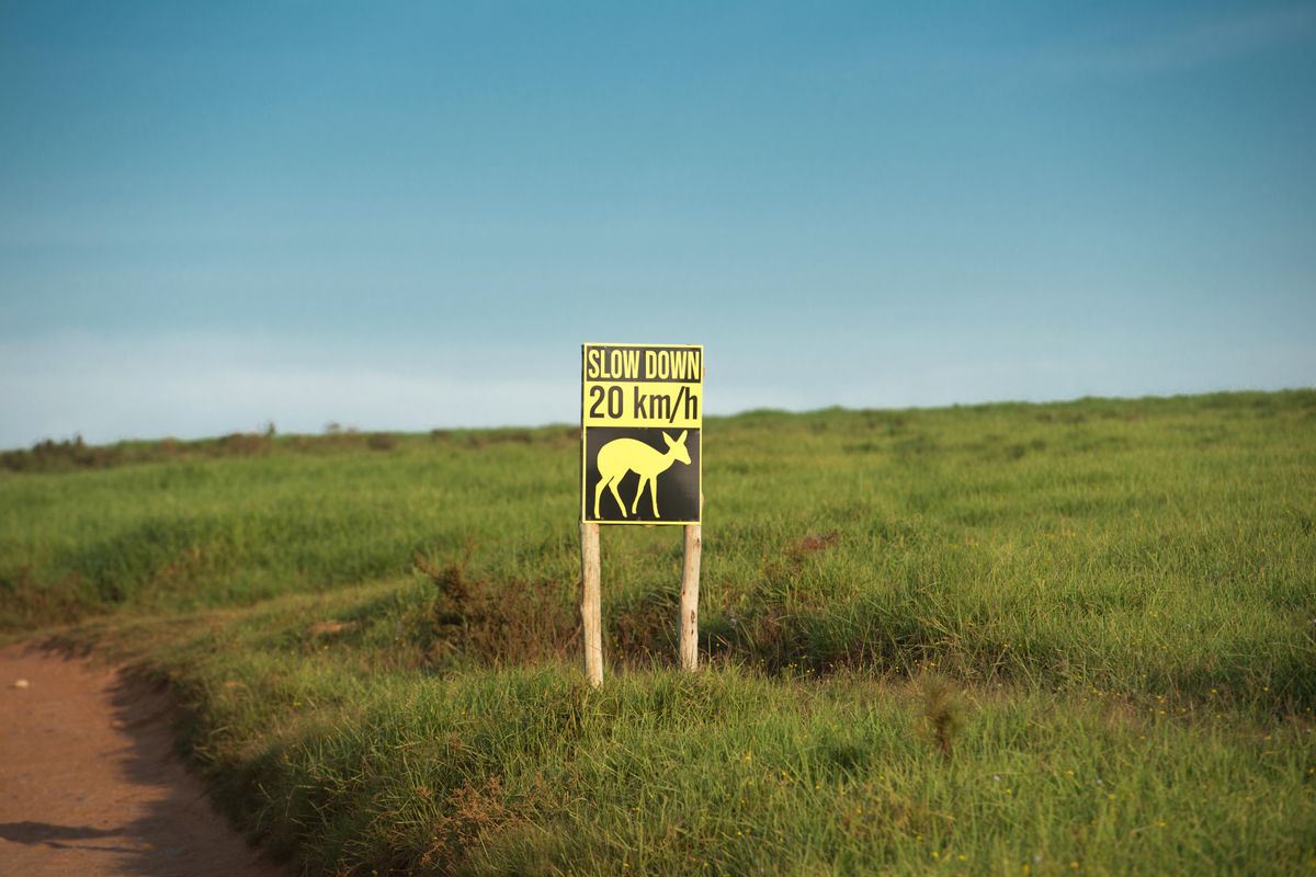 Unique opportunity to develop cluster units in the stunning Twin Valley - Photo 4