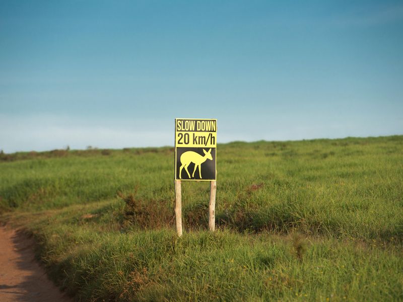 Unique opportunity to develop cluster units in the stunning Twin Valley - Photo 4