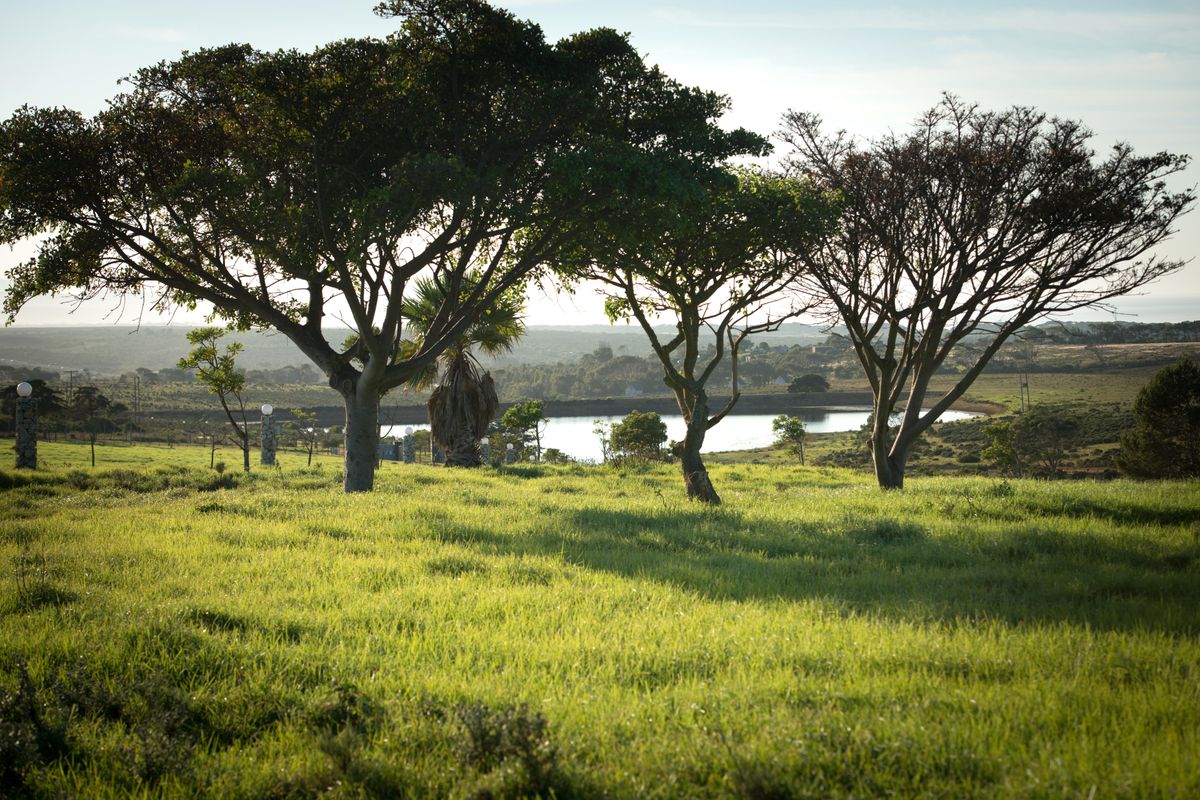 Unique opportunity to develop cluster units in the stunning Twin Valley - Photo 3