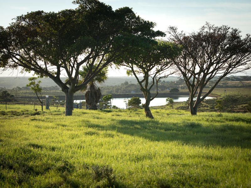 Unique opportunity to develop cluster units in the stunning Twin Valley - Photo 3