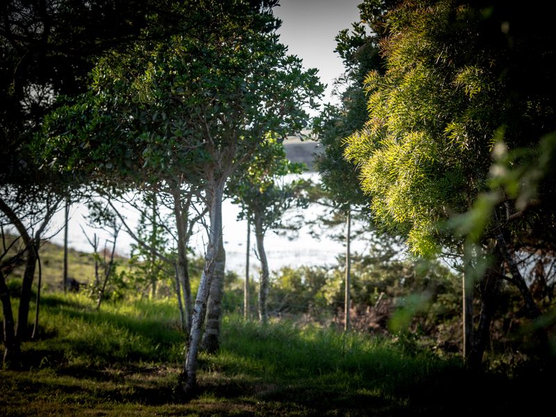 Unique opportunity to develop cluster units in the stunning Twin Valley - Photo 6