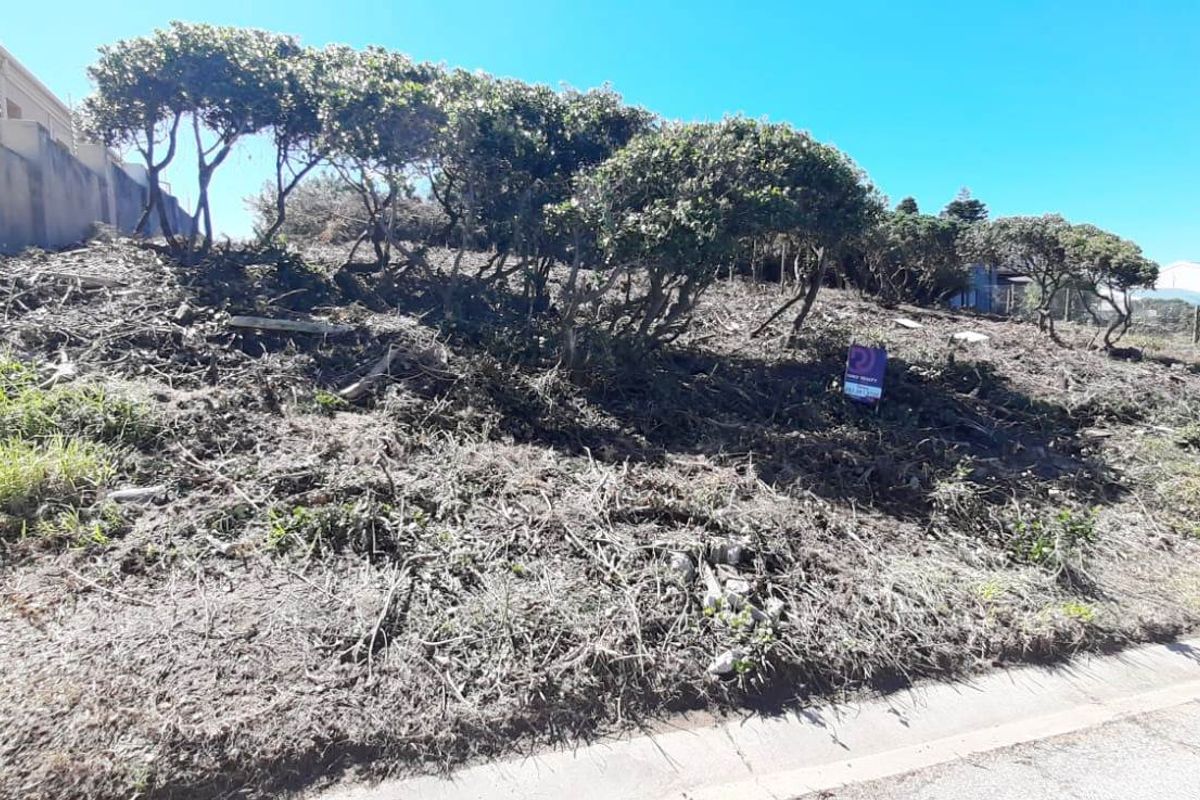 SEAVIEW VACANT PLOT FOR SALE - Photo 2