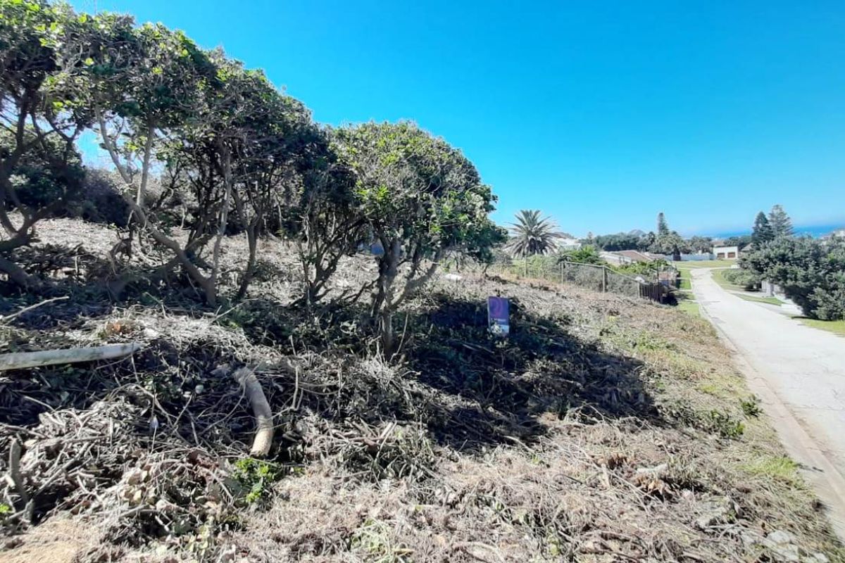 SEAVIEW VACANT PLOT FOR SALE - Photo 3