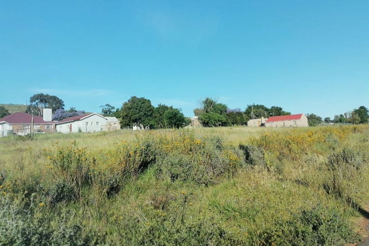 JOUBERTINA VACANT PLOT FOR SALE - Photo 4