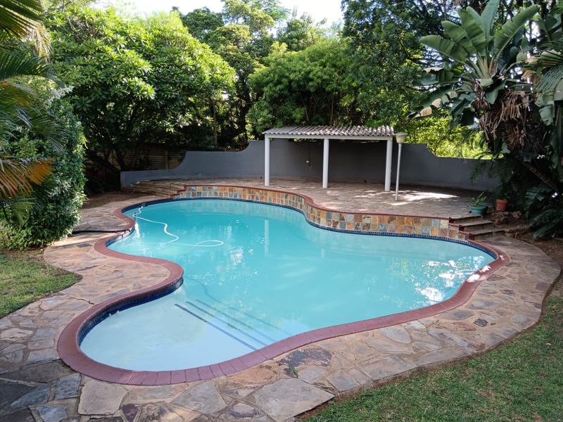 Large 3 Bedroom Home with Flatlet in a Beautiful Indigenous Garden with Sparkling Swimming Pool - Photo 8