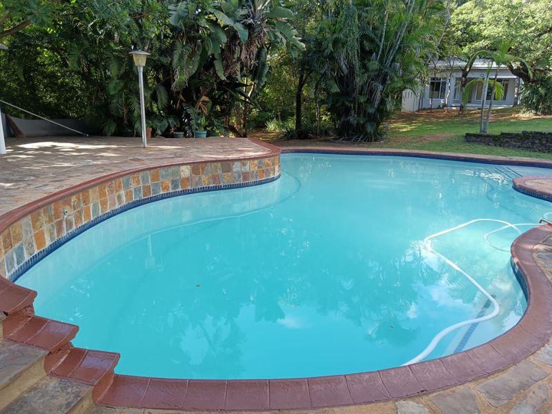 Large 3 Bedroom Home with Flatlet in a Beautiful Indigenous Garden with Sparkling Swimming Pool - Photo 6