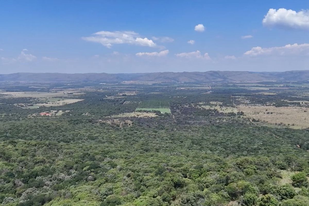 Pecans, Cattle or both - yours for the picking - Photo 3
