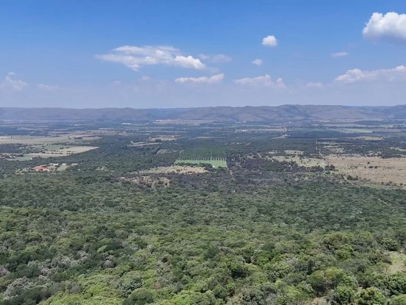 Pecans, Cattle or both - yours for the picking - Photo 3