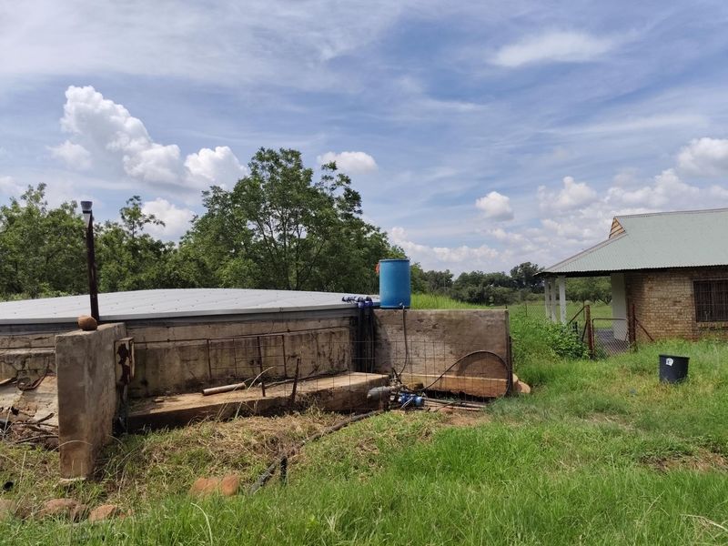 Pecans, Cattle or both - yours for the picking - Photo 10