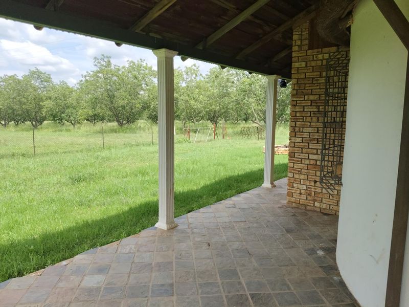 Pecans, Cattle or both - yours for the picking - Photo 8