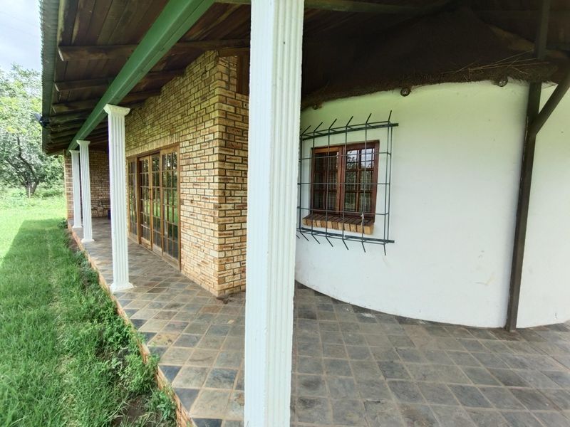 Pecans, Cattle or both - yours for the picking - Photo 7