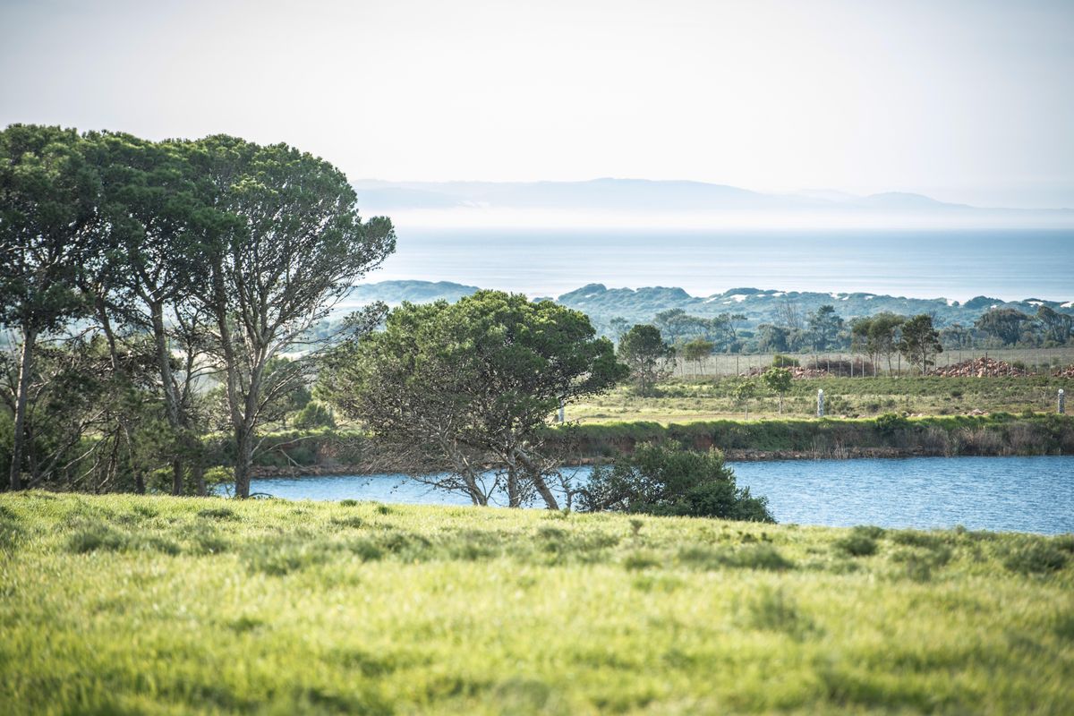 Uninterrupted views and wild life in Twin Valley - Photo 4