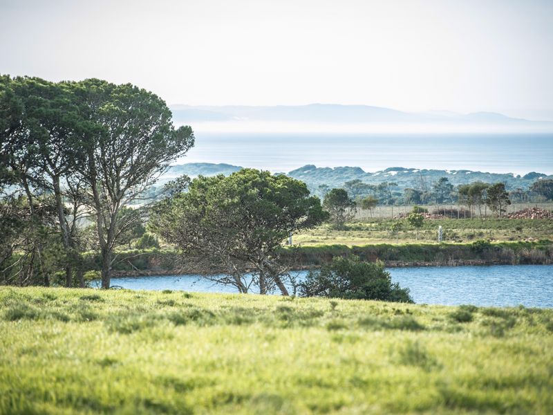 Uninterrupted views and wild life in Twin Valley - Photo 4