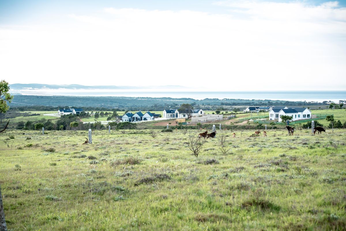 Uninterrupted views and wild life in Twin Valley - Photo 5