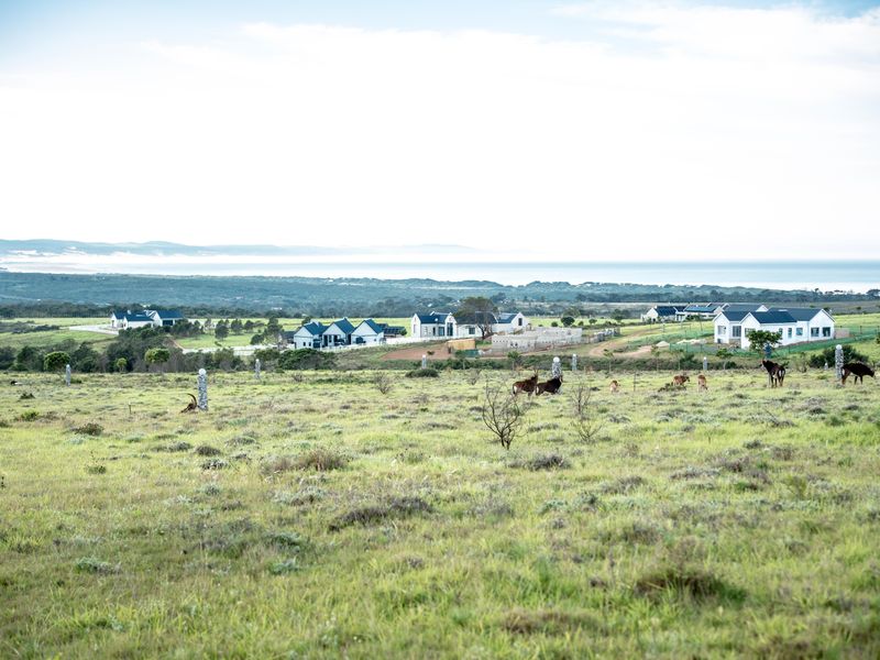 Uninterrupted views and wild life in Twin Valley - Photo 5