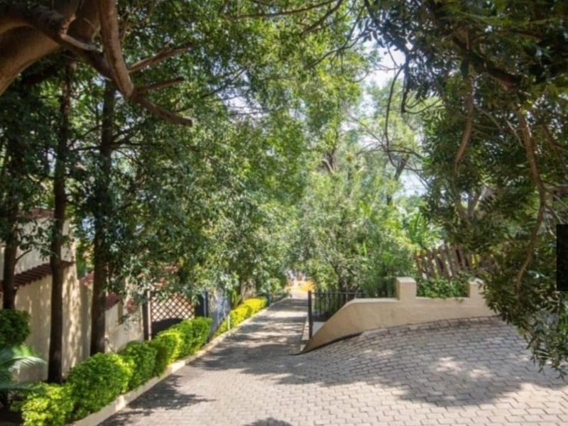 A paved driveway leading towards the property entrance, framed by mature trees and manicured garden hedging.