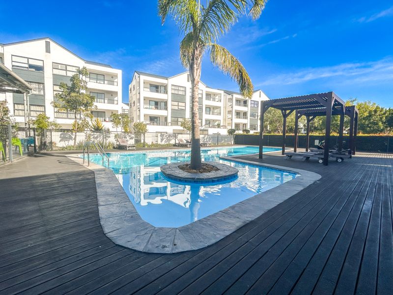 Communal swimming pool area featuring timber decking, a central palm tree island, and a shaded pergola structure within an apartment complex.
