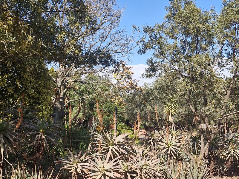Plot/Vacant Land for Sale in Grootfontein – R950,000 - Photo 6