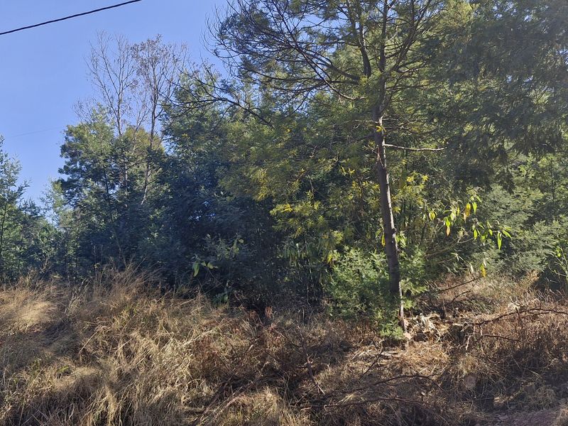 Plot/Vacant Land for Sale in Grootfontein – R950,000 - Photo 4
