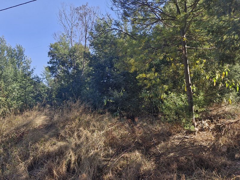 Plot/Vacant Land for Sale in Grootfontein – R950,000 - Photo 3