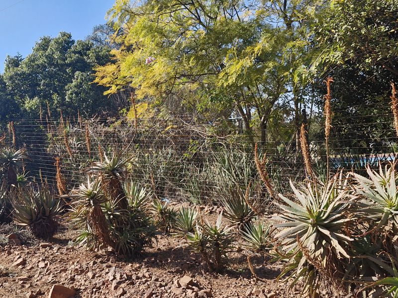 Plot/Vacant Land for Sale in Grootfontein – R950,000 - Photo 5