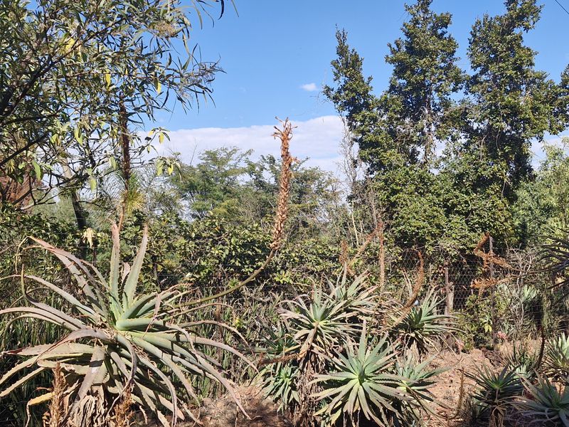 Plot/Vacant Land for Sale in Grootfontein – R950,000 - Photo 2