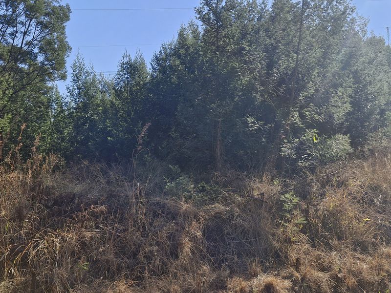 Plot/Vacant Land for Sale in Grootfontein – R950,000 - Photo 10