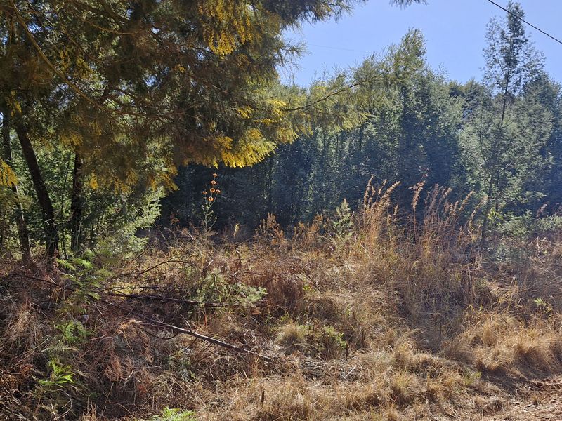 Plot/Vacant Land for Sale in Grootfontein – R950,000 - Photo 8