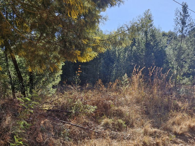 Plot/Vacant Land for Sale in Grootfontein – R950,000 - Photo 7