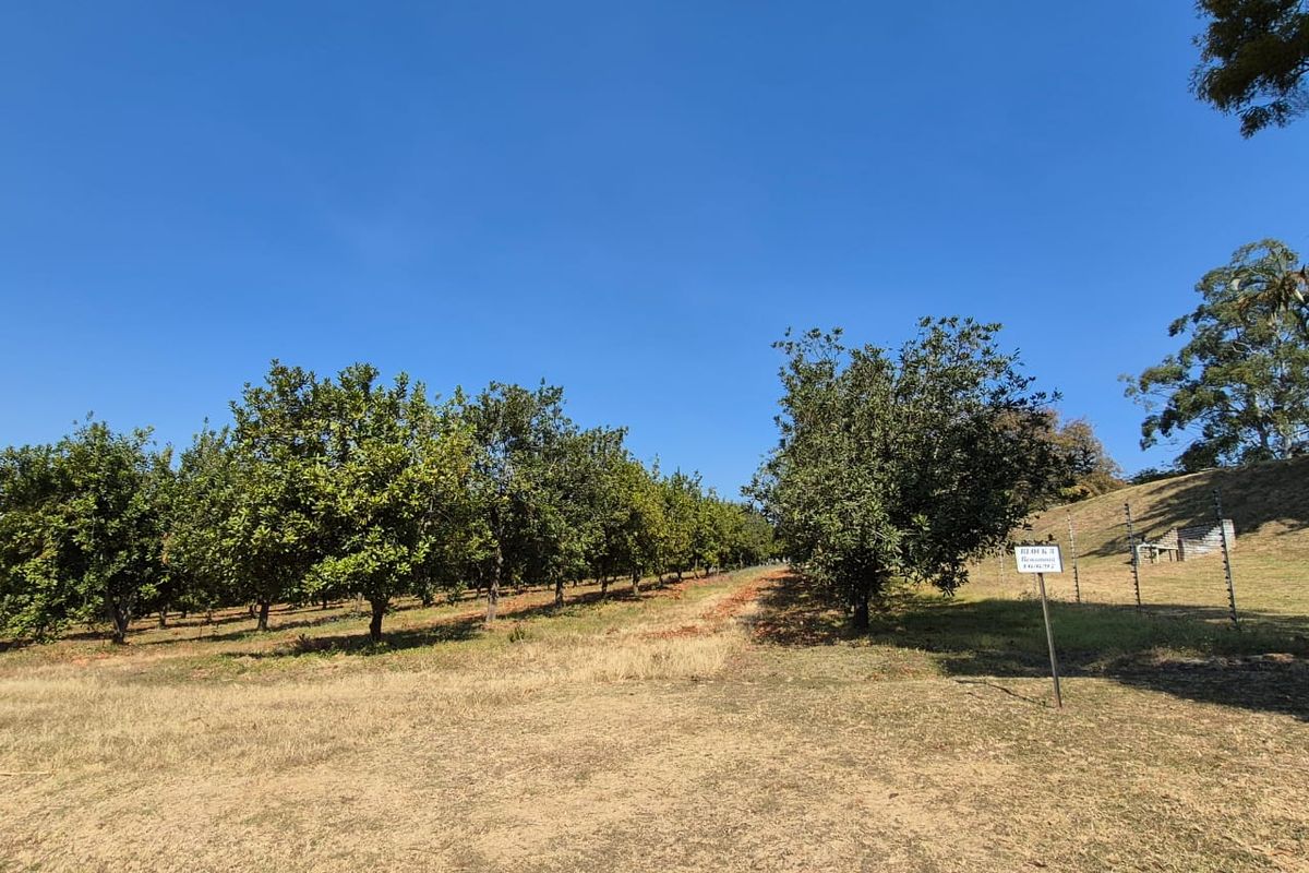 A view of an established orchard on the farm property, featuring rows of mature fruit trees and perimeter electric fencing.