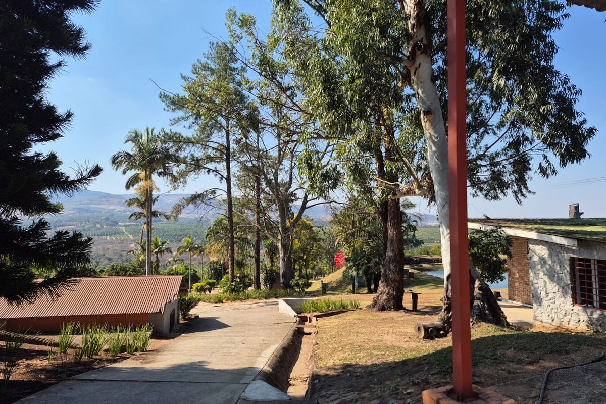 A scenic view of the farm grounds featuring a concrete driveway, mature trees, and outbuildings with metal roofing and stone exterior finishes.