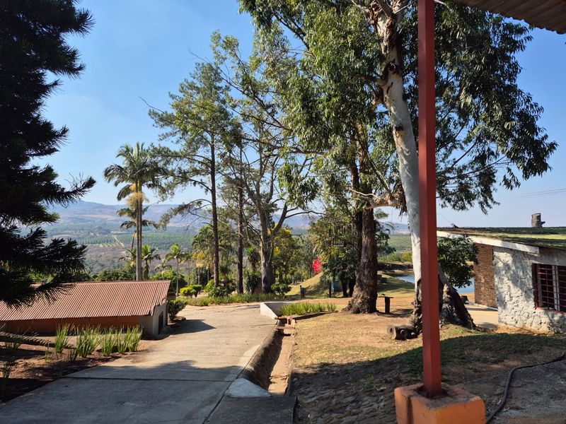 A scenic view of the farm grounds featuring a concrete driveway, mature trees, and outbuildings with metal roofing and stone exterior finishes.